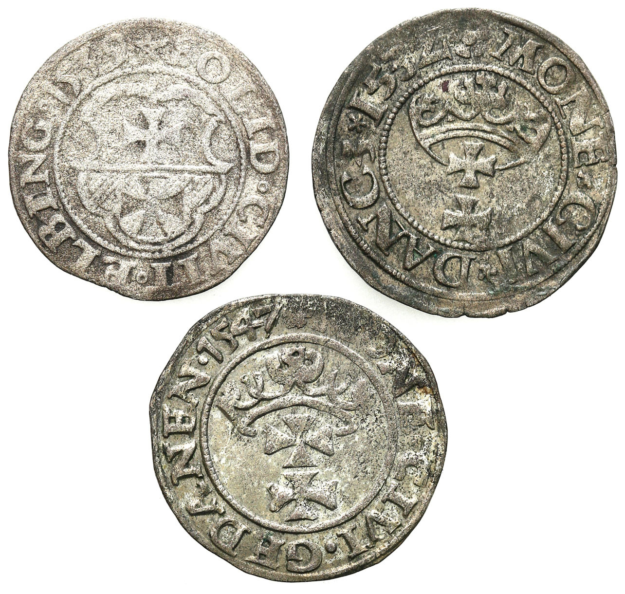 Zygmunt I Stary. Szeląg 1532, 1547 - Gdańsk, 1539 - Elbląg, zestaw 3 monet